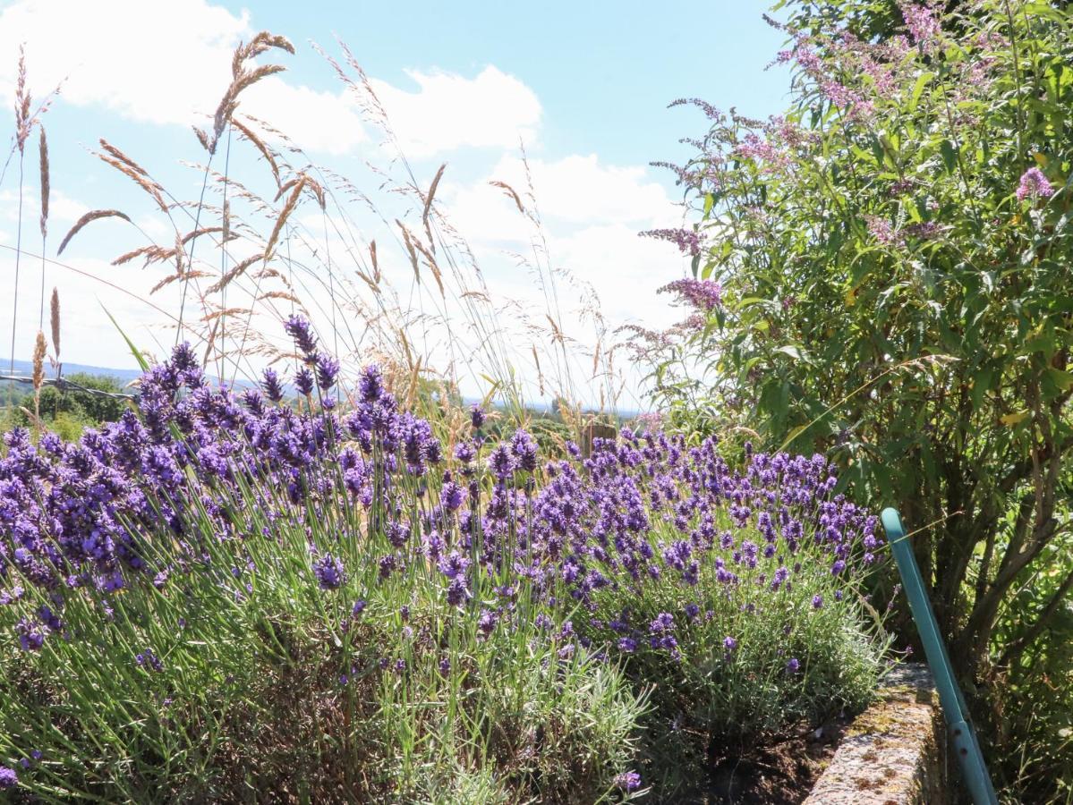 Cottam Cottage Farm لونغريدج المظهر الخارجي الصورة